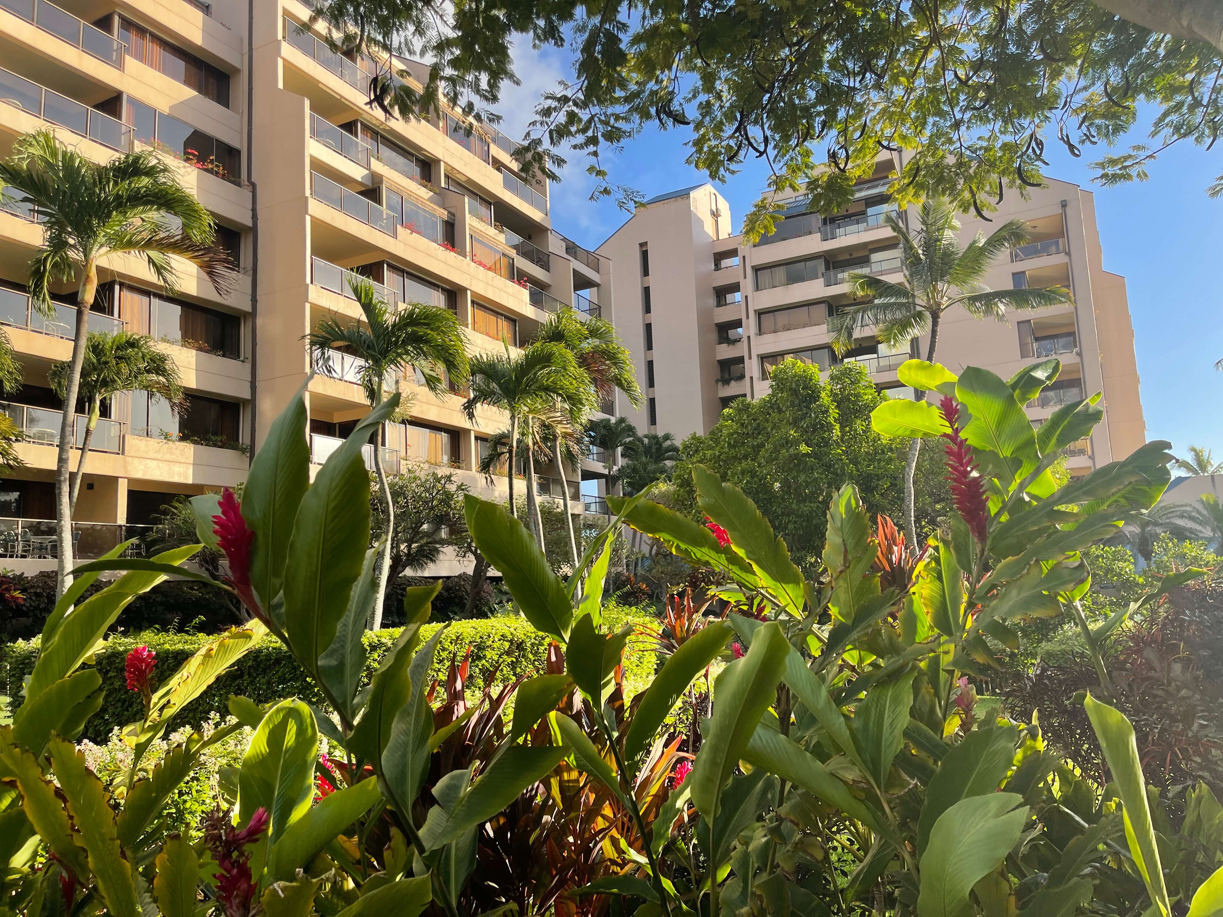 Sands of Kahana Towers