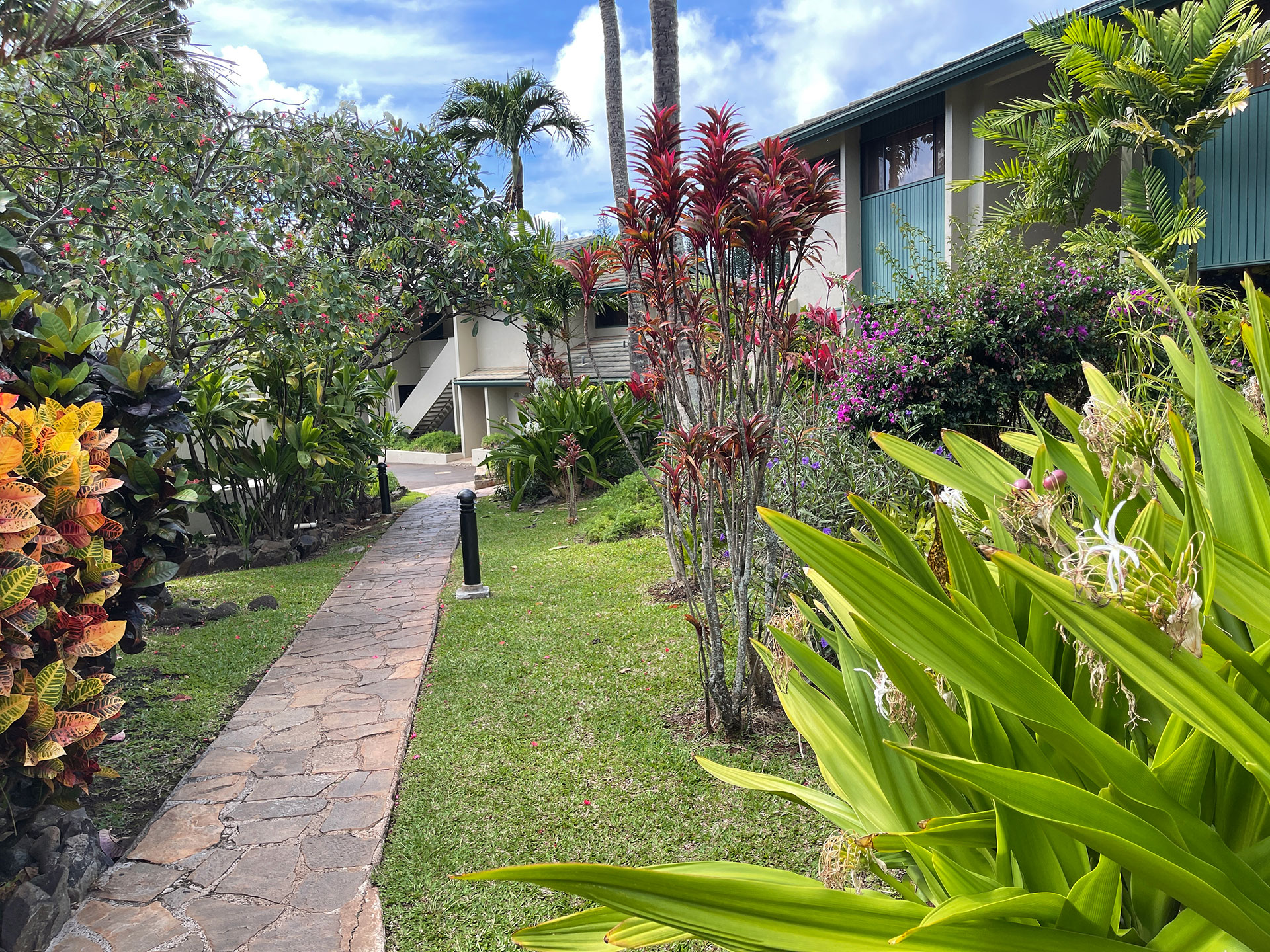 Hono Koa Resort